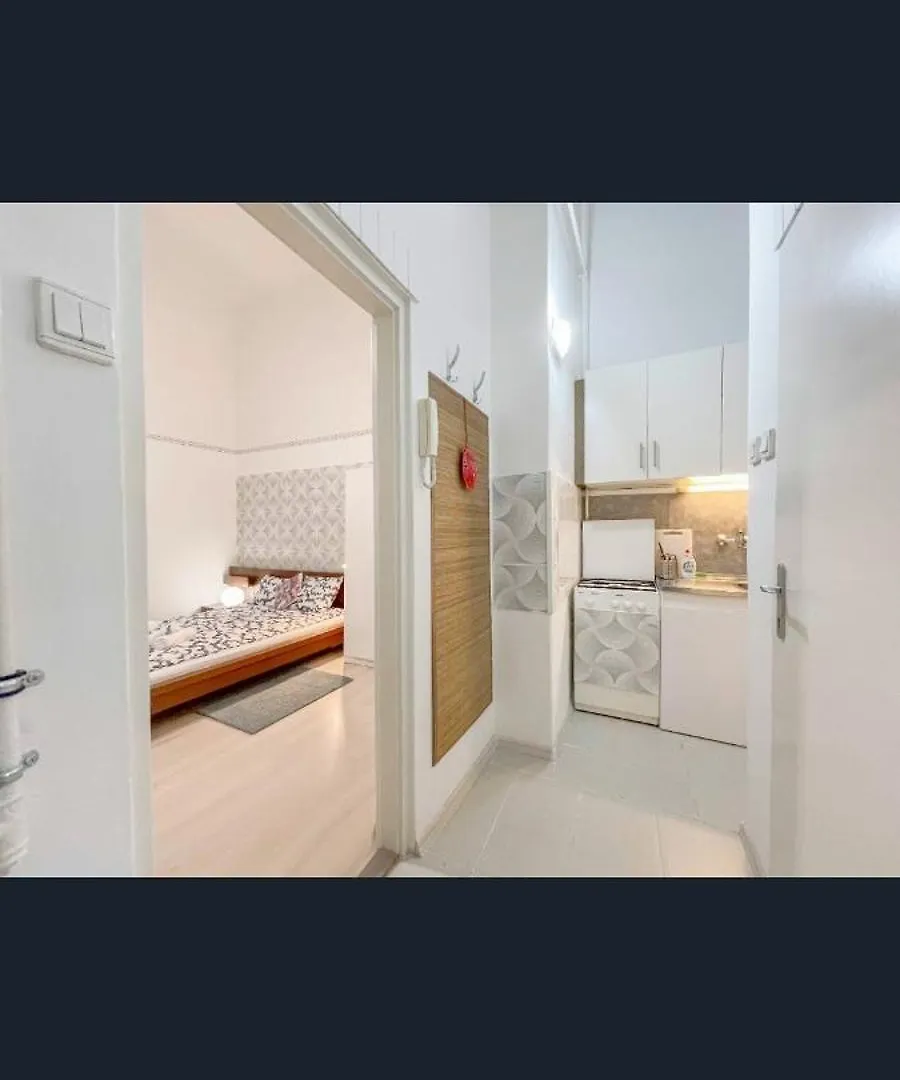 Free Parking Garage! Downtown Apartment Close To New York Cafe Budapest